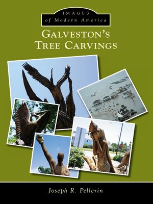 cover image of Galveston's Tree Carvings